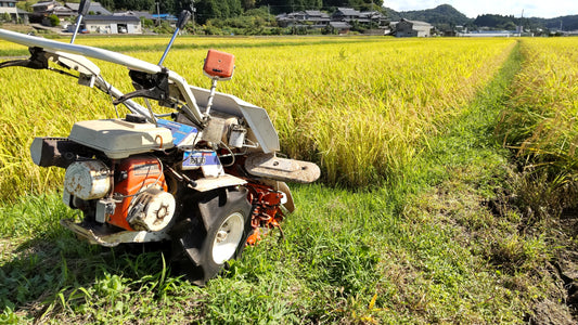 効率よく働くのか非効率に働くのか